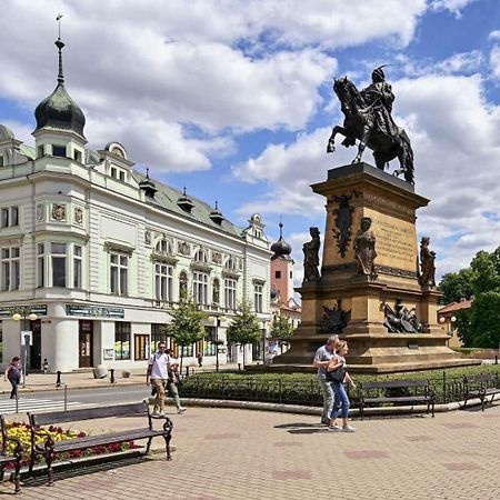 Apartment Spa And Fontain Podebrady Poděbrady Exterior foto
